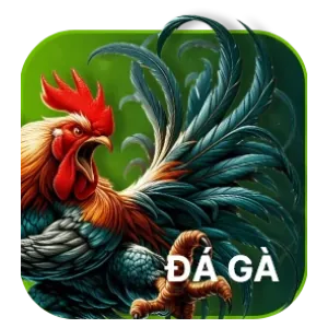 Cá cược đá gà e2betvip